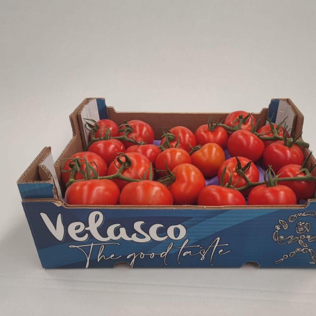 tomates tomates